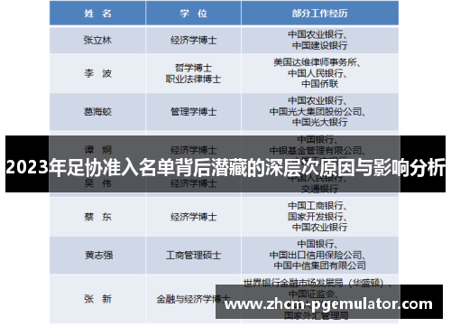 2023年足协准入名单背后潜藏的深层次原因与影响分析