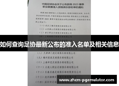 如何查询足协最新公布的准入名单及相关信息