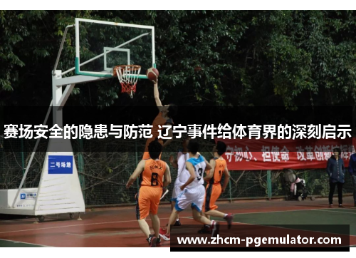 赛场安全的隐患与防范 辽宁事件给体育界的深刻启示