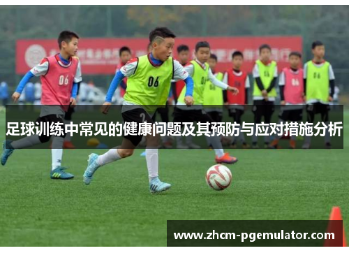 足球训练中常见的健康问题及其预防与应对措施分析