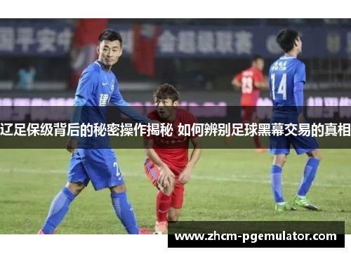 辽足保级背后的秘密操作揭秘 如何辨别足球黑幕交易的真相 辽足保级背后的秘密操作揭秘 如何辨别足球黑幕交易的真相