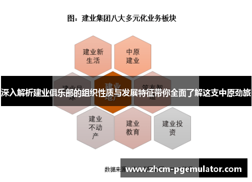 深入解析建业俱乐部的组织性质与发展特征带你全面了解这支中原劲旅
