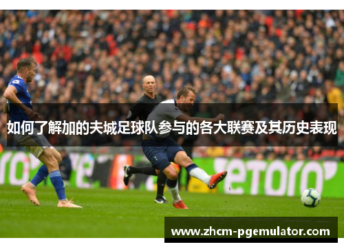 如何了解加的夫城足球队参与的各大联赛及其历史表现 如何了解加的夫城足球队参与的各大联赛及其历史表现