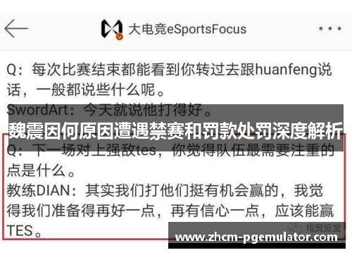 魏震因何原因遭遇禁赛和罚款处罚深度解析