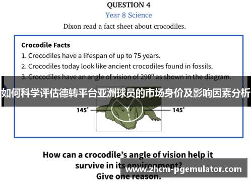 如何科学评估德转平台亚洲球员的市场身价及影响因素分析