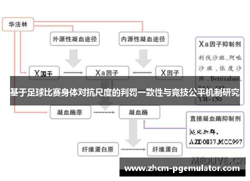 基于足球比赛身体对抗尺度的判罚一致性与竞技公平机制研究 基于足球比赛身体对抗尺度的判罚一致性与竞技公平机制研究