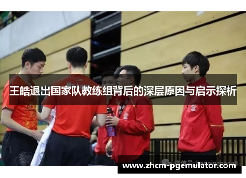 王皓退出国家队教练组背后的深层原因与启示探析 王皓退出国家队教练组背后的深层原因与启示探析